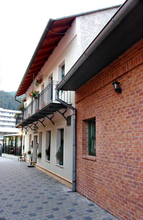 Penzion Zuzi Trencianske Teplice Exterior photo